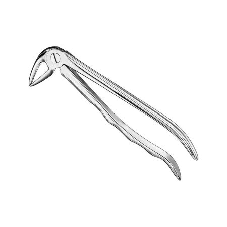 Extracting forceps, engl
